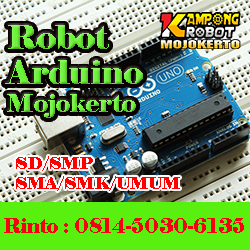 robot arduino